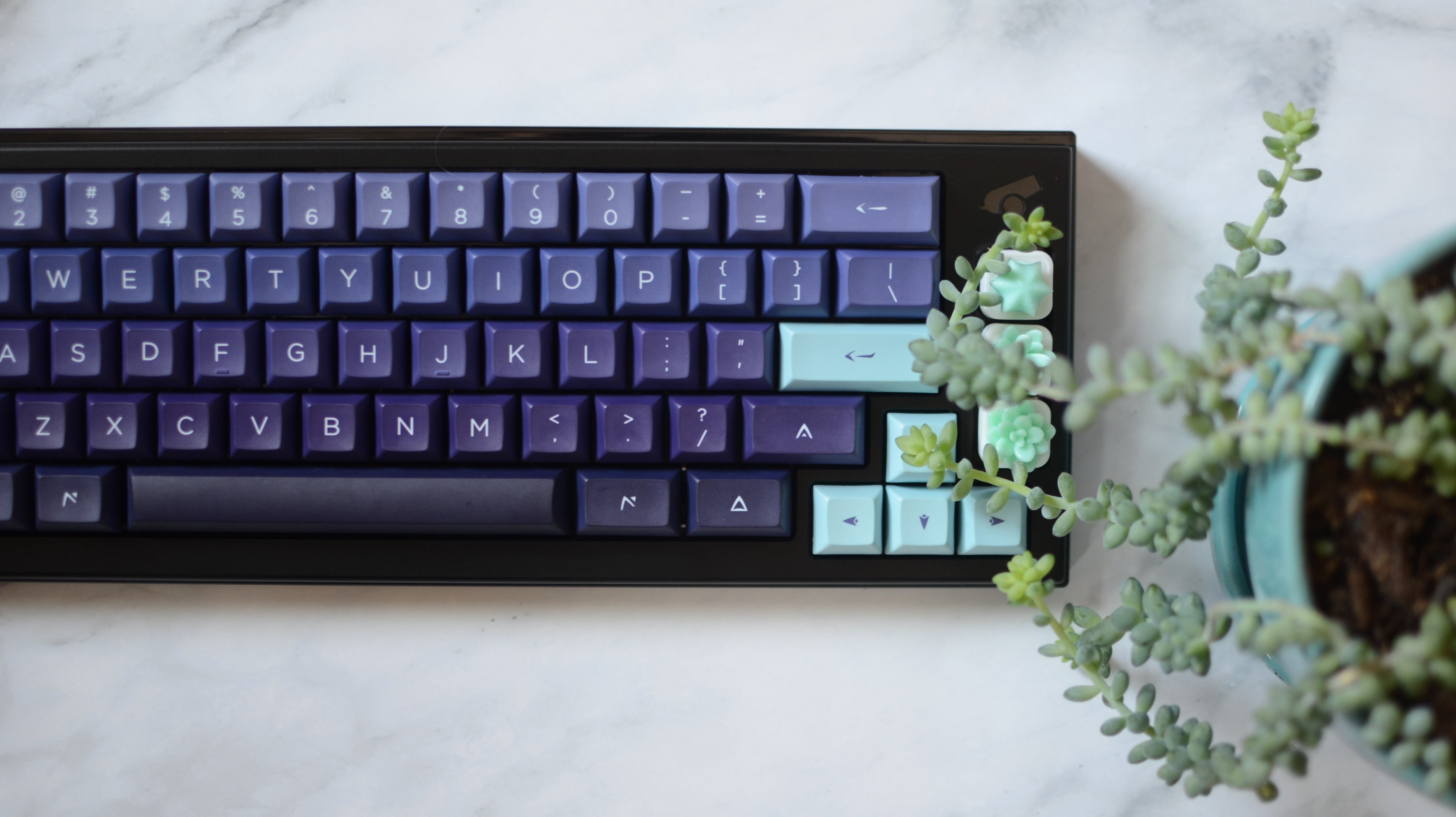 CannonKeys Vickrey Auction Recap - Chimera65 Special Edition