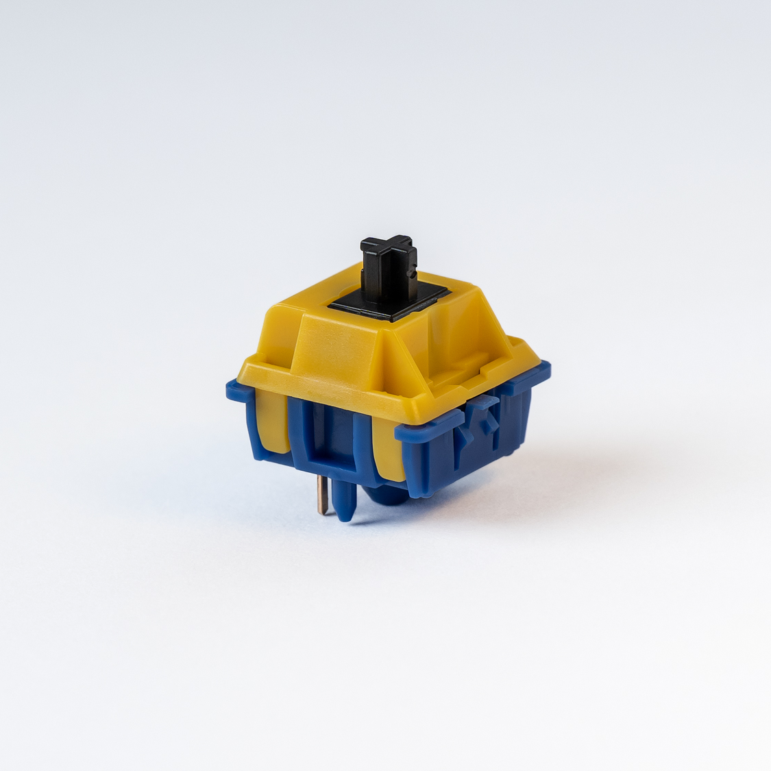 Blue Macaw Silent Tactile Switch CannonKeys