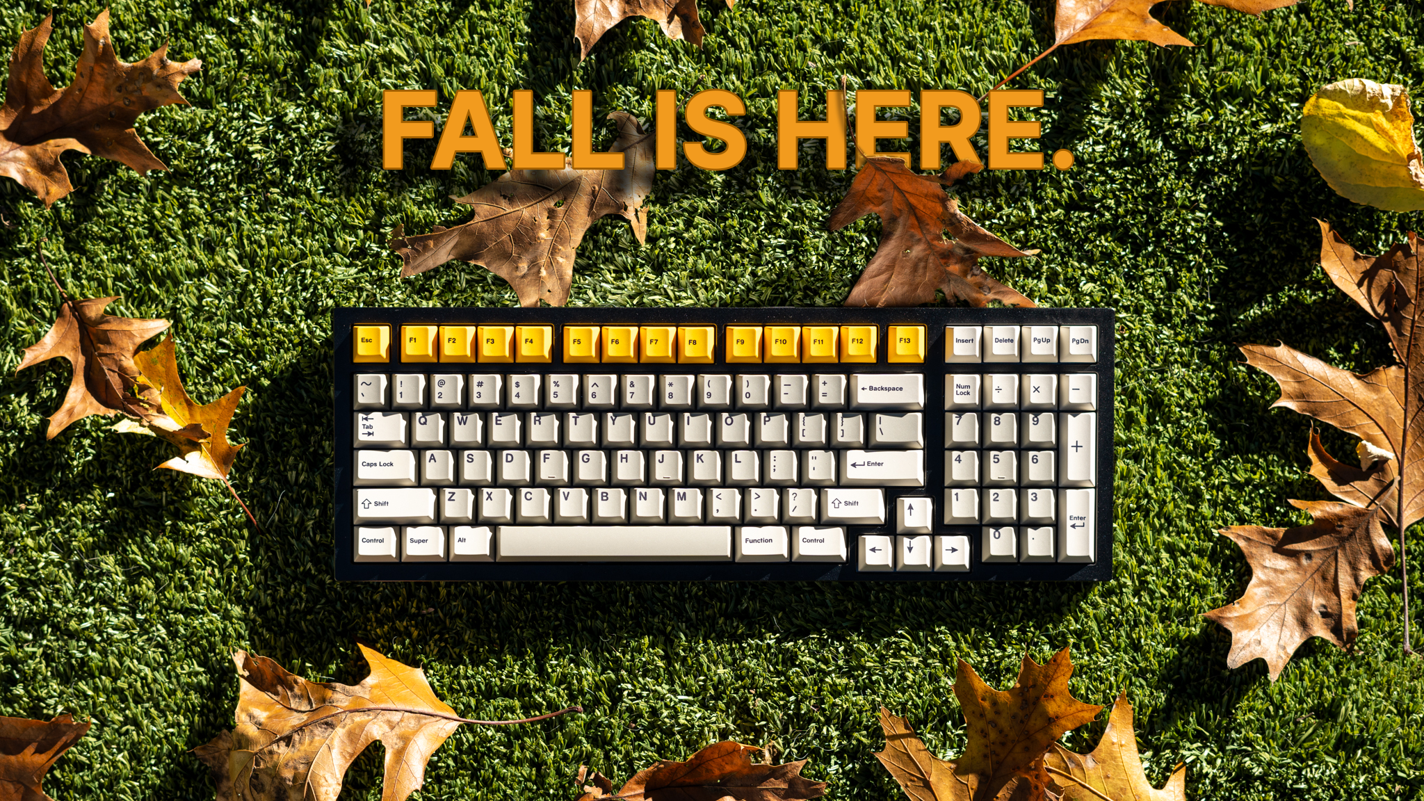 CannonKeys Fall Sale