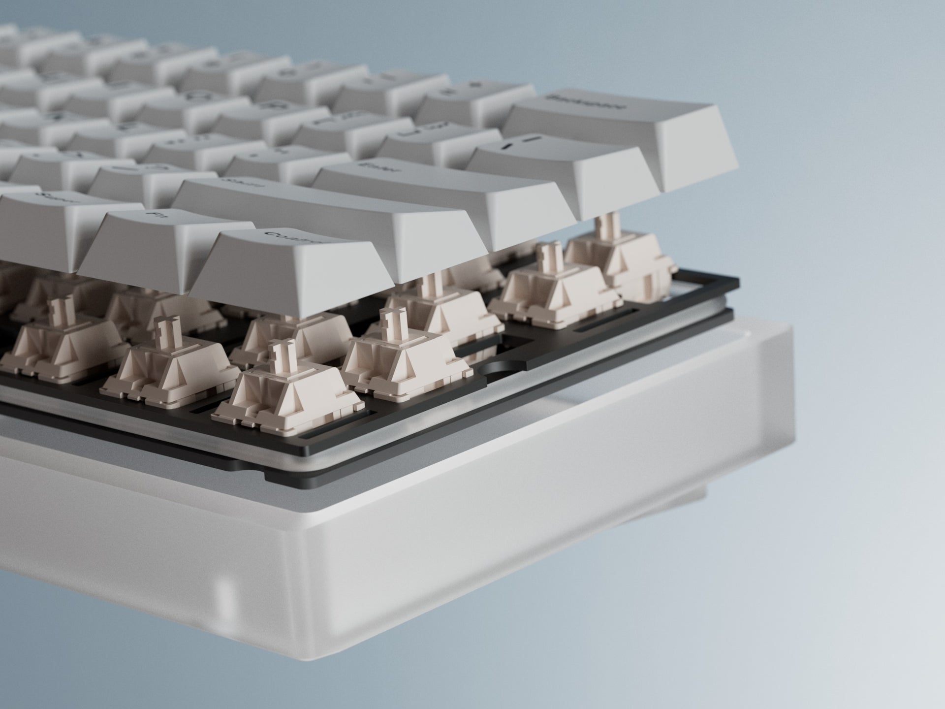 Bakeneko by CannonKeys