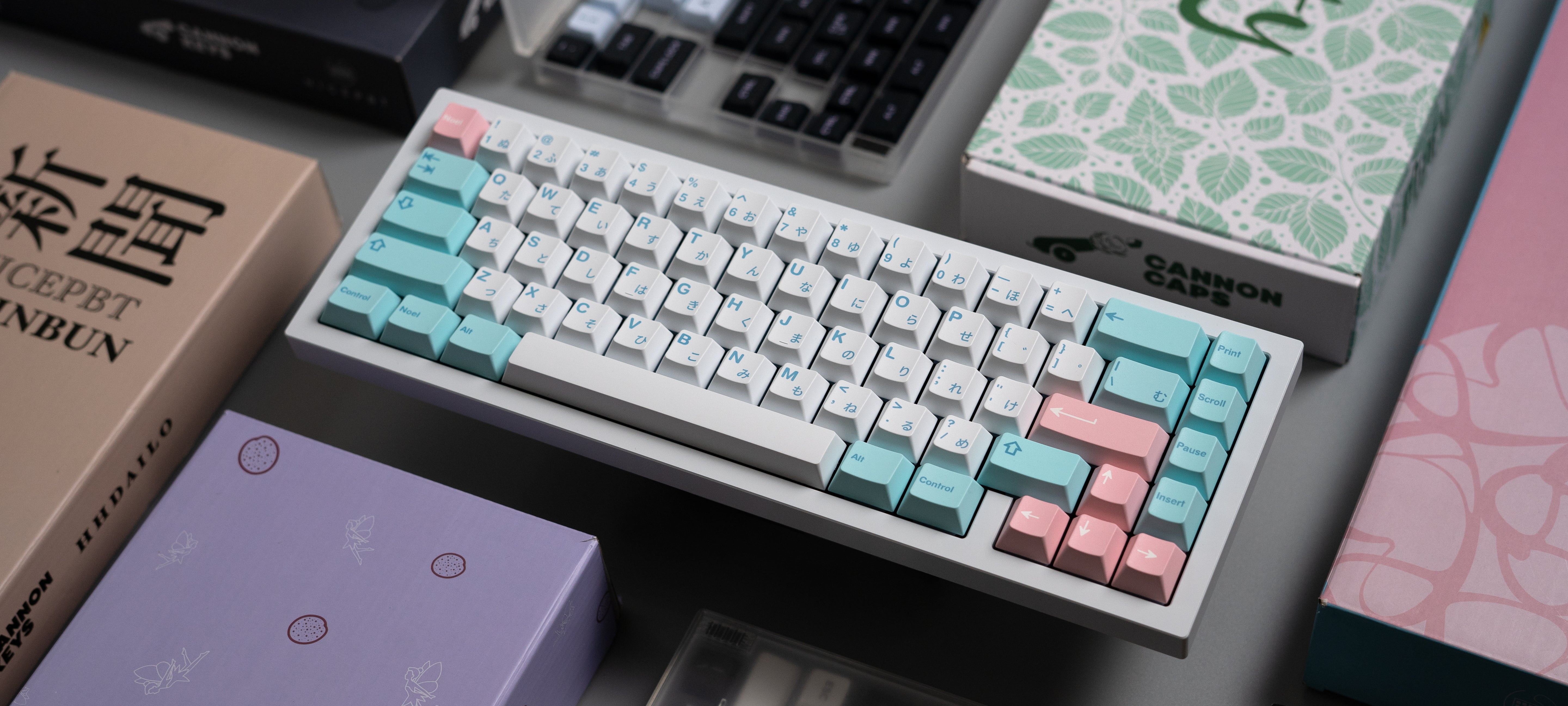 Mystery Keycaps – CannonKeys