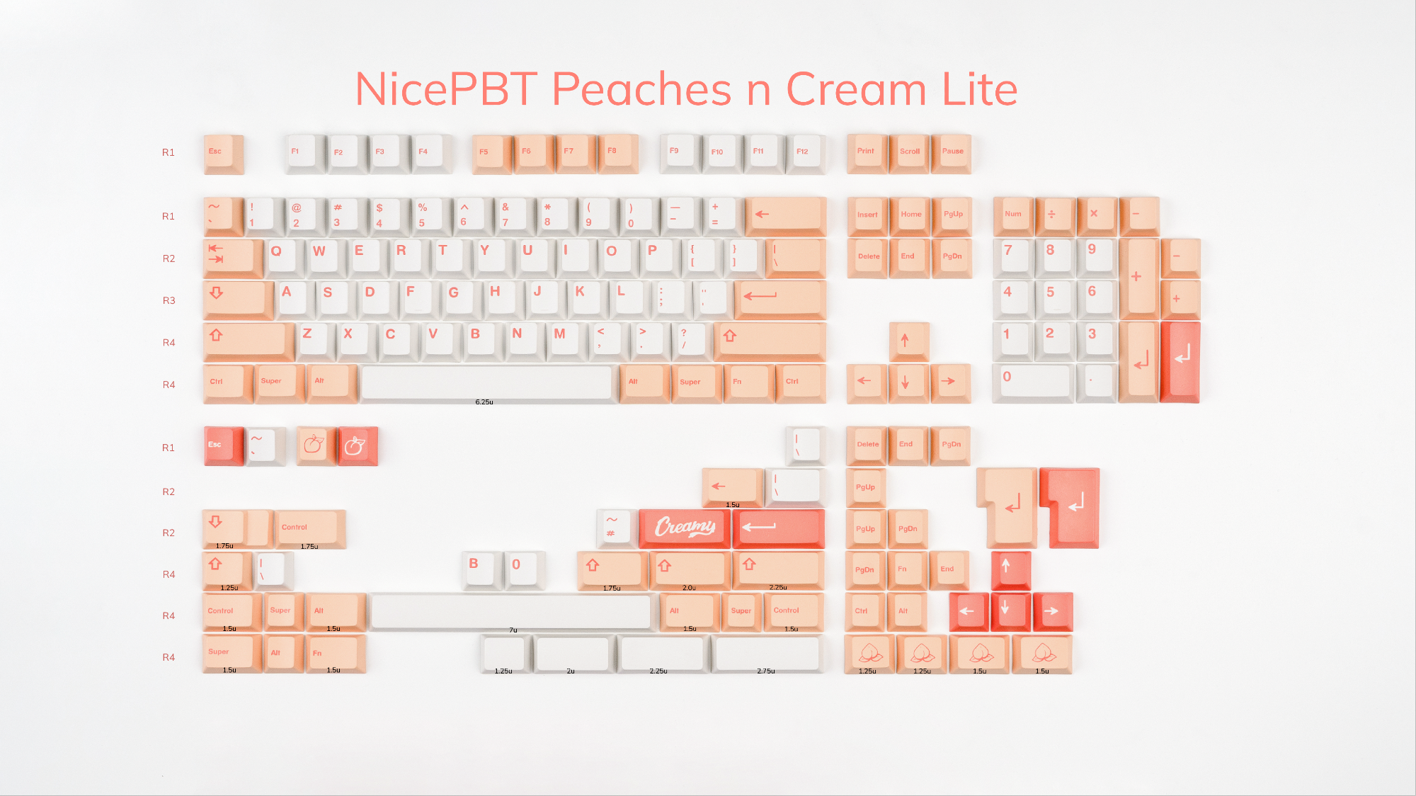 PnC_Lite.png?v=1655939441& PnC_Lite.png?v=1655939441&